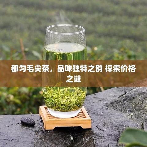 都匀毛尖茶，品味独特之韵 探索价格之谜