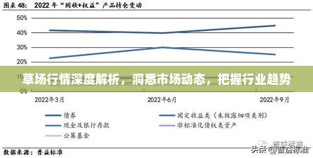 草场行情深度解析，洞悉市场动态，把握行业趋势