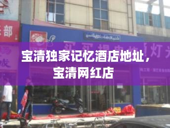 宝清独家记忆酒店地址，宝清网红店 