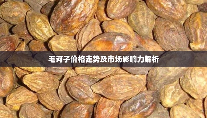 毛诃子价格走势及市场影响力解析