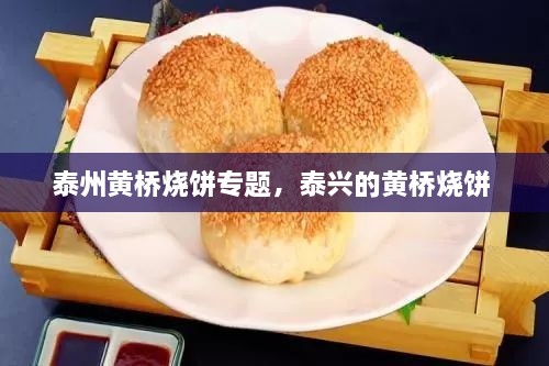 泰州黄桥烧饼专题，泰兴的黄桥烧饼 