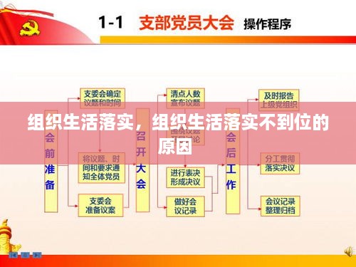 组织生活落实，组织生活落实不到位的原因 