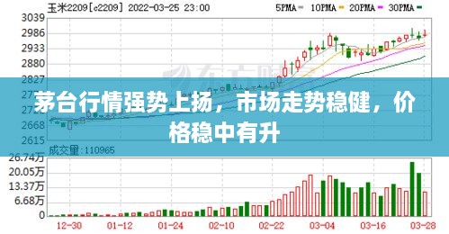 茅台行情强势上扬，市场走势稳健，价格稳中有升