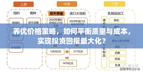 养优价格策略，如何平衡质量与成本，实现投资回报最大化？