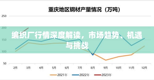 编织厂行情深度解读，市场趋势、机遇与挑战