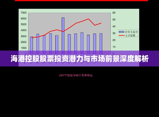 海港控股股票投资潜力与市场前景深度解析