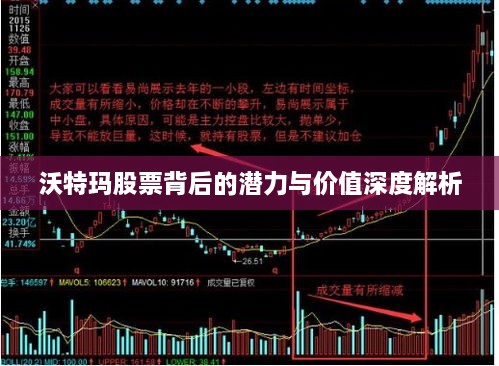 沃特玛股票背后的潜力与价值深度解析