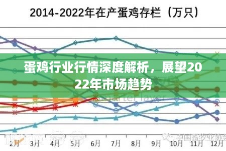 蛋鸡行业行情深度解析，展望2022年市场趋势