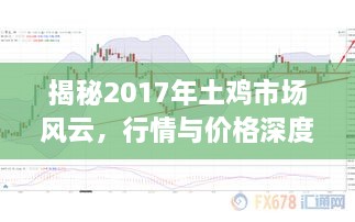 揭秘2017年土鸡市场风云，行情与价格深度解析