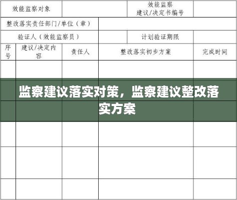 监察建议落实对策，监察建议整改落实方案 