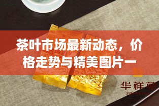 茶叶市场最新动态，价格走势与精美图片一网打尽