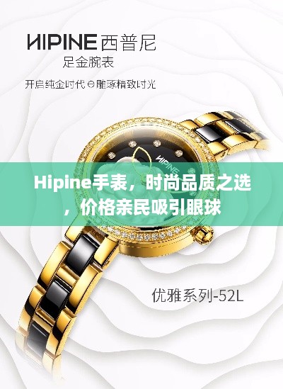 Hipine手表，时尚品质之选，价格亲民吸引眼球