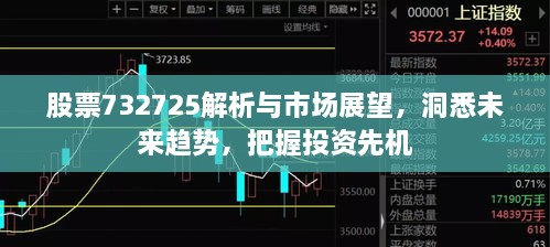 股票732725解析与市场展望，洞悉未来趋势，把握投资先机