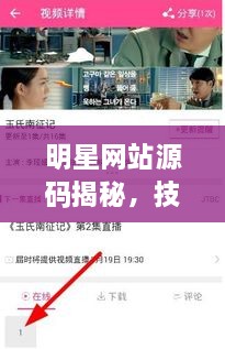 明星网站源码揭秘，技术与艺术的完美融合