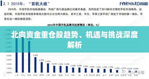 北向资金重仓股趋势、机遇与挑战深度解析