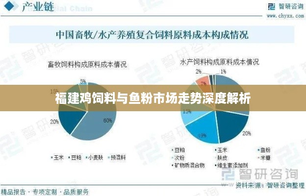 福建鸡饲料与鱼粉市场走势深度解析