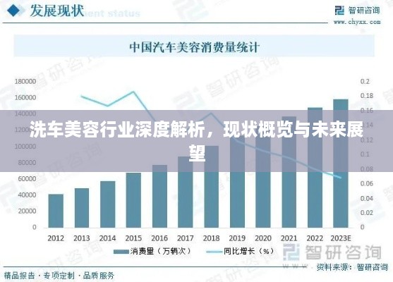 洗车美容行业深度解析，现状概览与未来展望