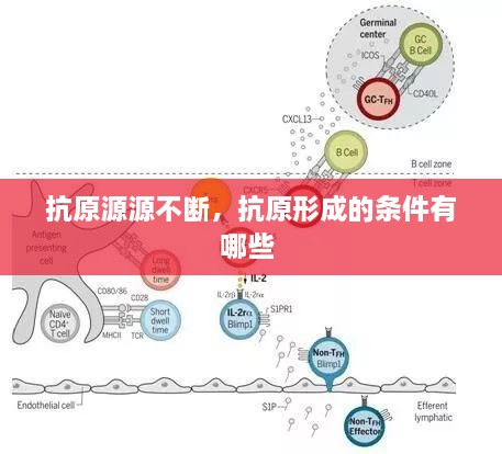 抗原源源不断，抗原形成的条件有哪些 