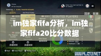 im独家fifa分析，im独家fifa20比分数据 