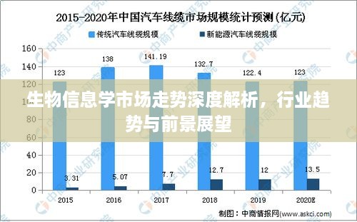 生物信息学市场走势深度解析，行业趋势与前景展望