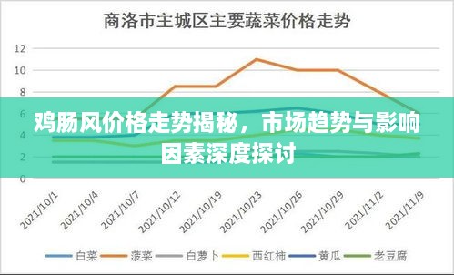 鸡肠风价格走势揭秘，市场趋势与影响因素深度探讨