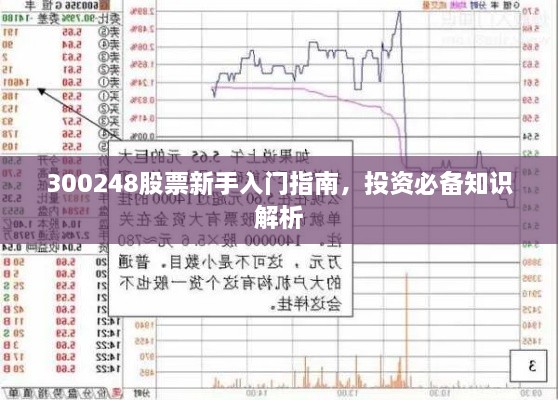 300248股票新手入门指南，投资必备知识解析