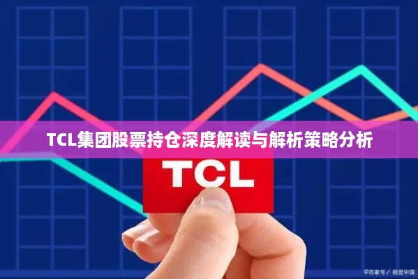 TCL集团股票持仓深度解读与解析策略分析