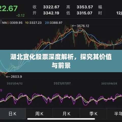 湖北宜化股票深度解析，探究其价值与前景