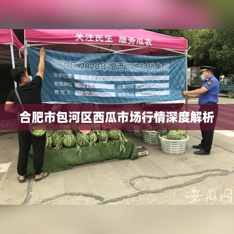 合肥市包河区西瓜市场行情深度解析