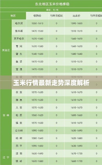 玉米行情最新走势深度解析