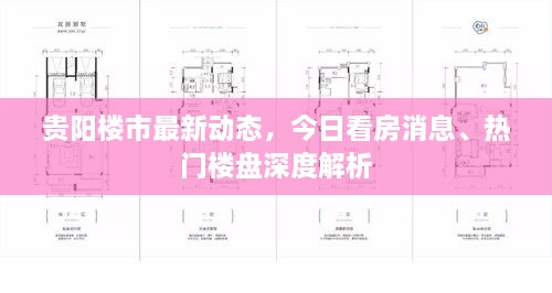 贵阳楼市最新动态，今日看房消息、热门楼盘深度解析