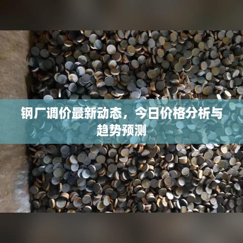 钢厂调价最新动态，今日价格分析与趋势预测