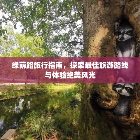 绿荫路旅行指南，探索最佳旅游路线与体验绝美风光