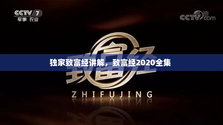 独家致富经讲解，致富经2020全集 