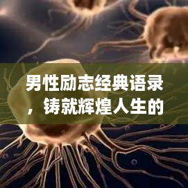 男性励志经典语录，铸就辉煌人生的智慧箴言