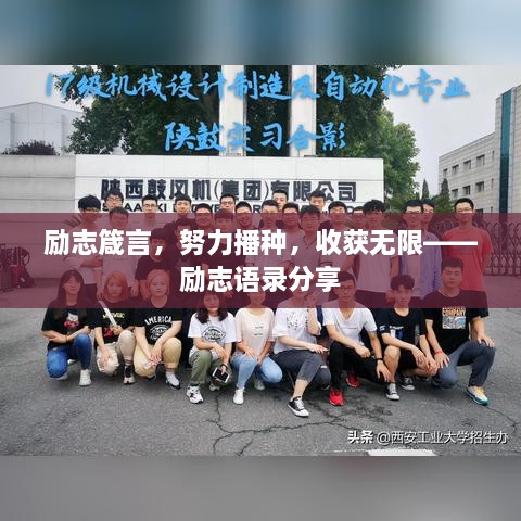 励志箴言，努力播种，收获无限——励志语录分享