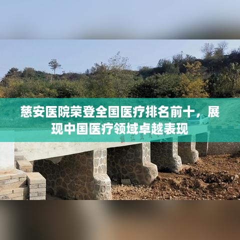 慈安医院荣登全国医疗排名前十，展现中国医疗领域卓越表现