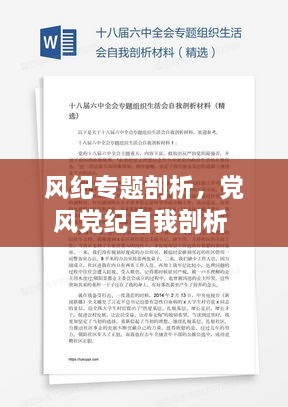 风纪专题剖析，党风党纪自我剖析 