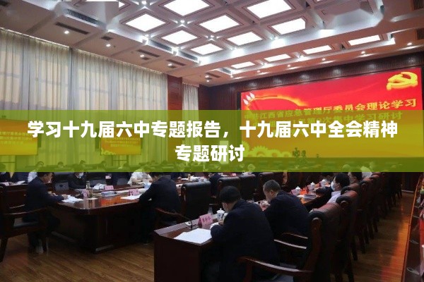 学习十九届六中专题报告，十九届六中全会精神专题研讨 