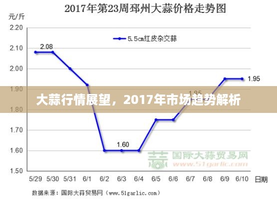 大蒜行情展望，2017年市场趋势解析