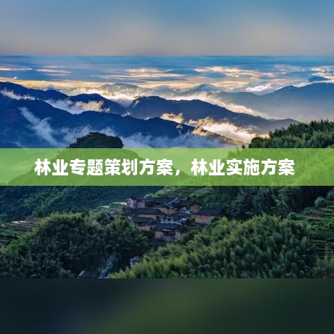 林业专题策划方案，林业实施方案 