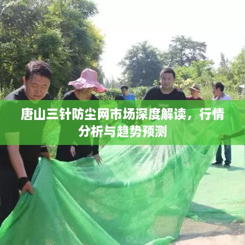 唐山三针防尘网市场深度解读，行情分析与趋势预测