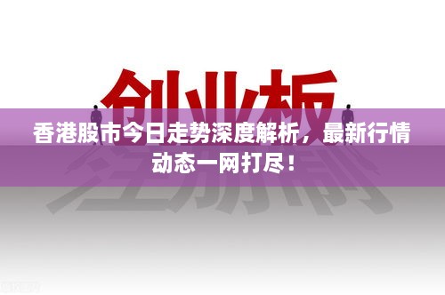 香港股市今日走势深度解析，最新行情动态一网打尽！