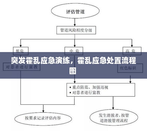 突发霍乱应急演练，霍乱应急处置流程图 