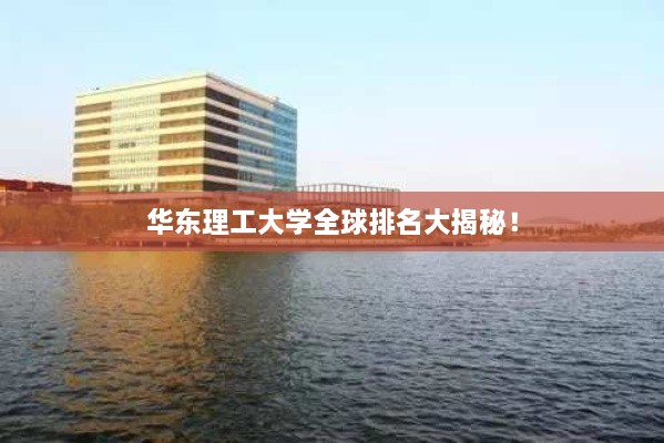 华东理工大学全球排名大揭秘！