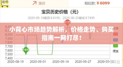 小背心市场趋势解析，价格走势、购买指南一网打尽！