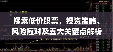 探索低价股票，投资策略、风险应对及五大关键点解析