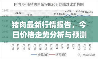 猪肉最新行情报告，今日价格走势分析与预测