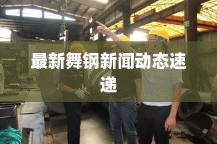 最新舞钢新闻动态速递