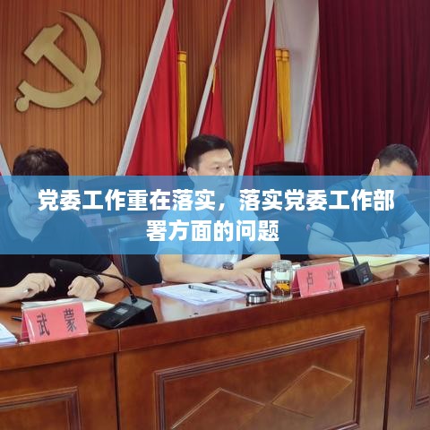 党委工作重在落实，落实党委工作部署方面的问题 